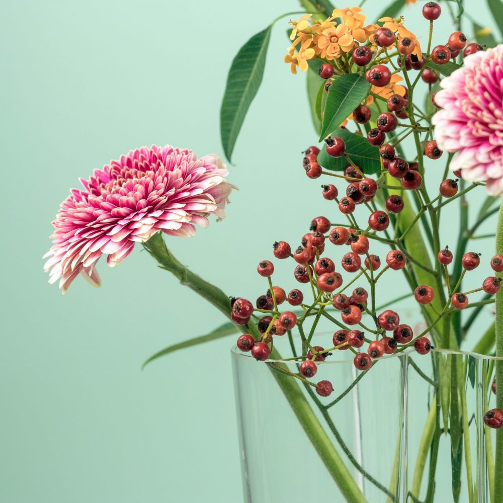 piante_ornamentali